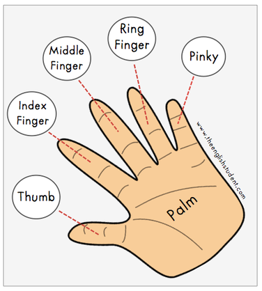 Personality Test: Your Finger length reveals these personality traits